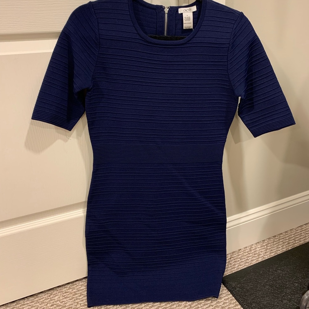 NWT cache dress